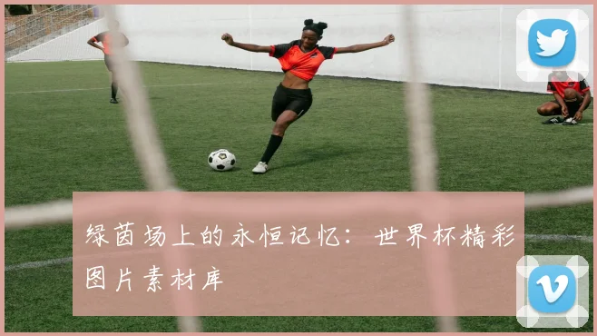 绿茵场上的永恒记忆：世界杯精彩图片素材库