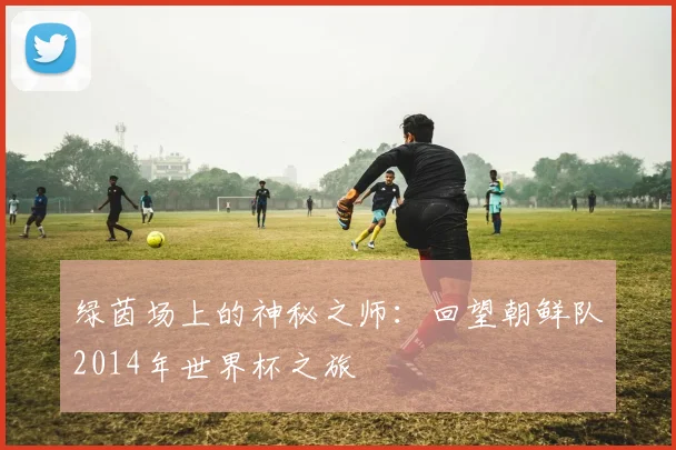 绿茵场上的神秘之师：回望朝鲜队2014年世界杯之旅